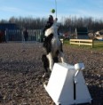 /album/photogallery/flyball-pila-091121-1-jpg/